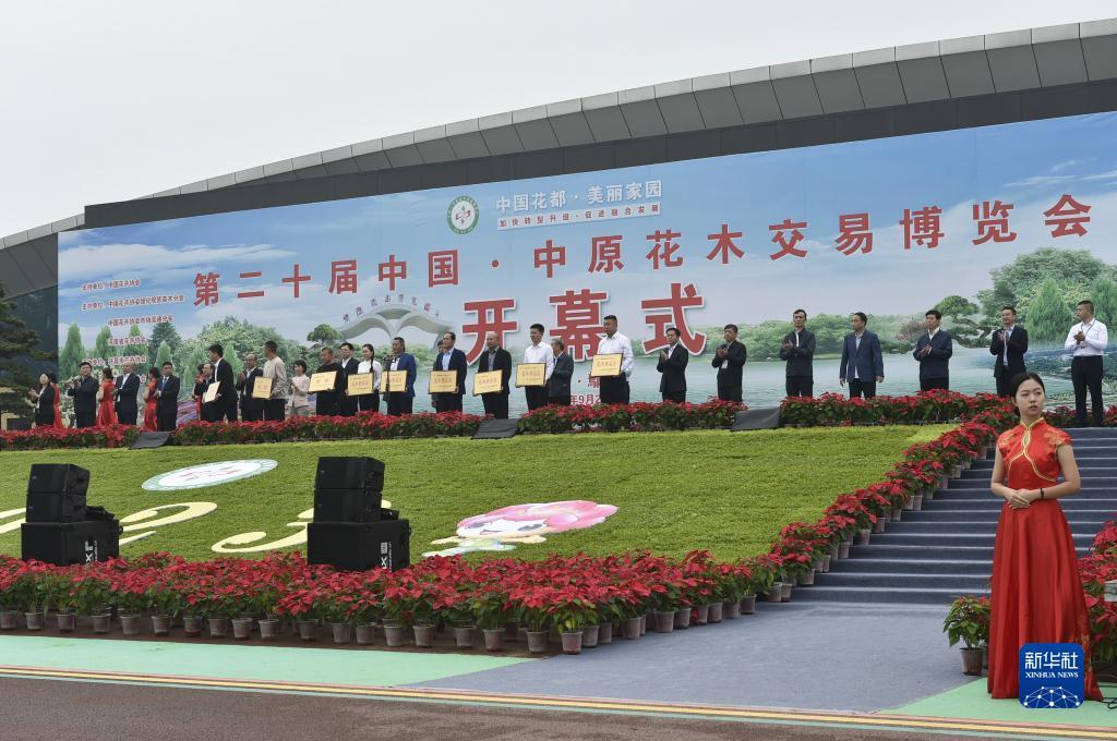 澳门威斯人